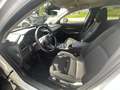 Mazda CX-30 G150 AT 2WD EXCLUSIVE-LINE DASO DESI Weiß - thumbnail 10