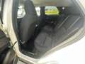 Mazda CX-30 G150 AT 2WD EXCLUSIVE-LINE DASO DESI Weiß - thumbnail 9
