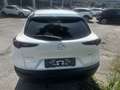 Mazda CX-30 G150 AT 2WD EXCLUSIVE-LINE DASO DESI Weiß - thumbnail 4