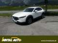 Mazda CX-30 G150 AT 2WD EXCLUSIVE-LINE DASO DESI Weiß - thumbnail 1