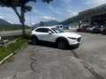 Mazda CX-30 G150 AT 2WD EXCLUSIVE-LINE DASO DESI Weiß - thumbnail 3