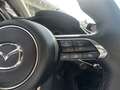 Mazda CX-30 G150 AT 2WD EXCLUSIVE-LINE DASO DESI Weiß - thumbnail 12