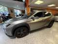 Lexus UX 250h 250 h Gris - thumbnail 4