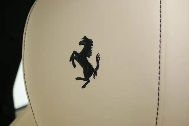 Ferrari Purosangue view 11