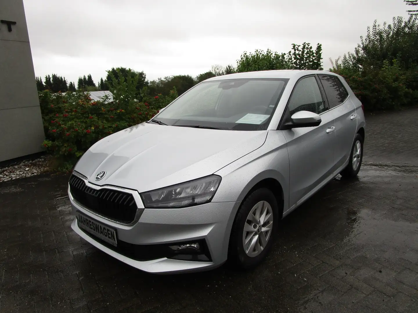 Skoda Fabia 1.0 TSI Selection - 1