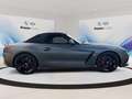 BMW Z4 M40i Head-Up HK HiFi DAB LED WLAN Gri - thumbnail 7