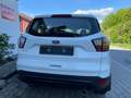 Ford Kuga Trend 4x4 Automatik  Sitzheizung Garantie Weiß - thumbnail 4