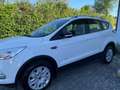 Ford Kuga Trend 4x4 Automatik  Sitzheizung Garantie Weiß - thumbnail 5