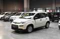 Fiat Panda Hybrid 1.0 70cv Alb - thumbnail 1