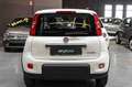 Fiat Panda Hybrid 1.0 70cv Alb - thumbnail 6