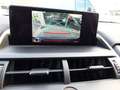 Lexus NX 300 300h Business Navigation 2WD Grijs - thumbnail 5