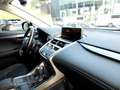 Lexus NX 300 300h Business Navigation 2WD Gris - thumbnail 11