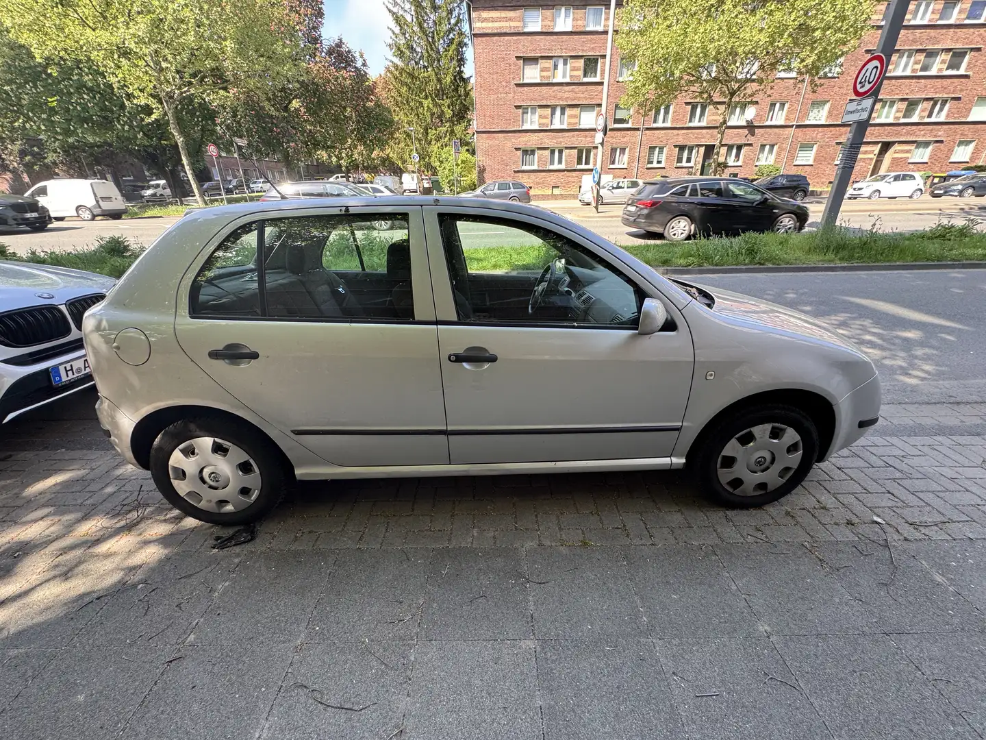 Skoda Fabia Plateado - 2