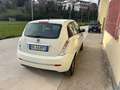 Lancia Y Y 1.2 16v LS c/abs,CL Weiß - thumbnail 5