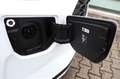 Ford Tourneo Custom Active 2.5 PHEV 340 L1 0,0% FIN* Alb - thumbnail 10