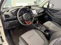 Subaru Forester 2,0i e-Boxer Sport Edition AWD Aut. Weiß - thumbnail 13