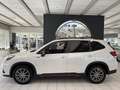 Subaru Forester 2,0i e-Boxer Sport Edition AWD Aut. Weiß - thumbnail 3