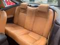 Ford Focus CC + 2.0 TDCi (136CV) CC DPF Schwarz - thumbnail 9
