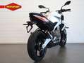 Aprilia Tuono 457 Szary - thumbnail 8