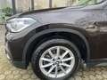 BMW X1 20d xDrive/LED/SHZ/LenkradHZG/Rückfahrkamera Braun - thumbnail 17