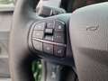 Ford Tourneo Courier ACTIVE *Winter-Paket* Grün - thumbnail 15