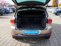 Volkswagen Tiguan Lounge 2.0 TDI Navi RFK PANO SHZ AHK Beige - thumbnail 5