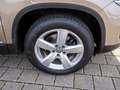Volkswagen Tiguan Lounge 2.0 TDI Navi RFK PANO SHZ AHK Beige - thumbnail 9