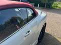 Bentley Flying Spur Speed Mansory Umbau Weiß - thumbnail 12