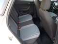 SEAT Arona Arona 2017 1.0 tgi Style 90cv Bianco - thumbnail 12