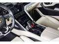 Lamborghini Urus V8 - NERO HELENE / BIANCO POLAR Noir - thumbnail 13