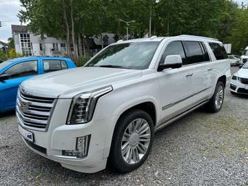 Platinum ESV