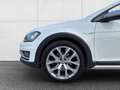 Volkswagen Golf Variant Alltrack 2,0 TDI DSG 4Mot ACC/AHV/XENON/PANO Weiß - thumbnail 9