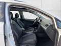 Volkswagen Golf Variant Alltrack 2,0 TDI DSG 4Mot ACC/AHV/XENON/PANO Weiß - thumbnail 17
