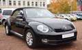 Volkswagen Beetle Cabriolet Design BMT Sitzheizung Klima Siyah - thumbnail 3