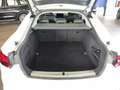 Audi A5 SPB 35 TDI S tronic Navi Sensori Fari LED Cerchi18 Bianco - thumbnail 41