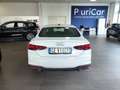 Audi A5 SPB 35 TDI S tronic Navi Sensori Fari LED Cerchi18 Bianco - thumbnail 39