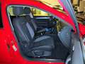 Volkswagen Passat Alltrack Passat Variant 2.0 TDI DSG7 4Mot Alltrack eSAD Czerwony - thumbnail 11
