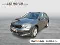 Skoda Kamiq Selection TSI DSG Grau - thumbnail 1