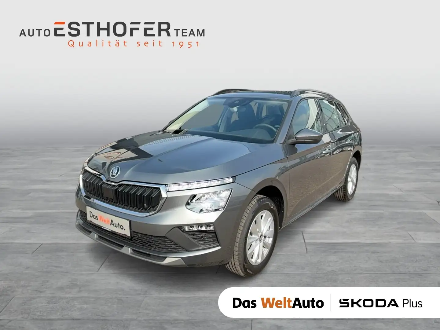 Skoda Kamiq Selection TSI DSG Grau - 1