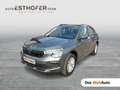 Skoda Kamiq Selection TSI DSG Grau - thumbnail 1