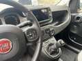 Fiat Panda 4x2 FireFly Hybrid - thumbnail 7