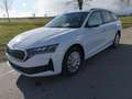 Skoda Octavia Combi Essence Kombi 1.5 TSI DSG AHK Sitzh LED G... Wit - thumbnail 1