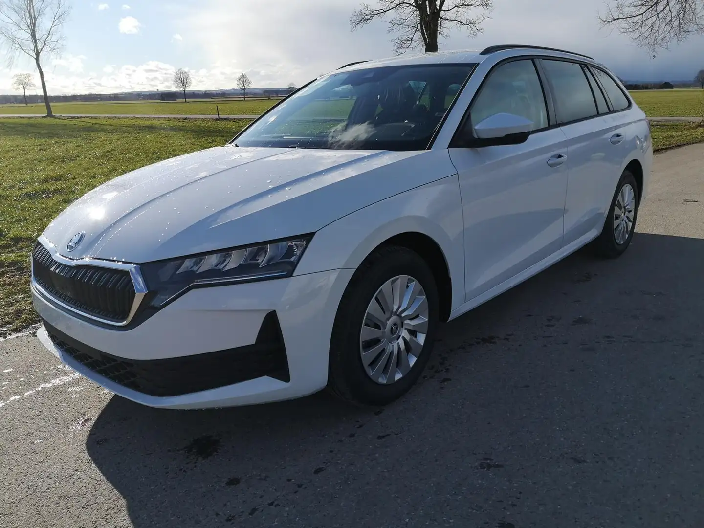 Skoda Octavia Combi Essence Kombi 1.5 TSI DSG AHK Sitzh LED G... Wit - 1