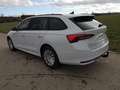 Skoda Octavia Combi Essence Kombi 1.5 TSI DSG AHK Sitzh LED G... Wit - thumbnail 3
