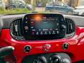 Fiat 500 1.0 hybrid Connect 70cv Adatta neopatentati Rouge - thumbnail 7
