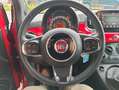 Fiat 500 1.0 hybrid Connect 70cv Adatta neopatentati Rouge - thumbnail 5