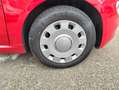 Fiat 500 1.0 hybrid Connect 70cv Adatta neopatentati Rouge - thumbnail 12