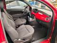 Fiat 500 1.0 hybrid Connect 70cv Adatta neopatentati Rouge - thumbnail 11