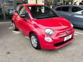 Fiat 500 1.0 hybrid Connect 70cv Adatta neopatentati Rouge - thumbnail 2