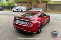 Ford Mustang Fastback 5.0 Ti-VCT GT Aut. Violett - thumbnail 6